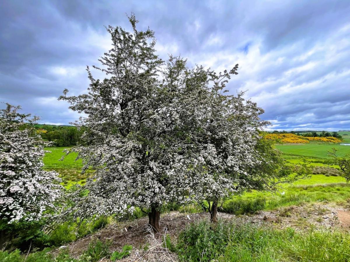 Deveron Valley Cottages Marnoch ภายนอก รูปภาพ