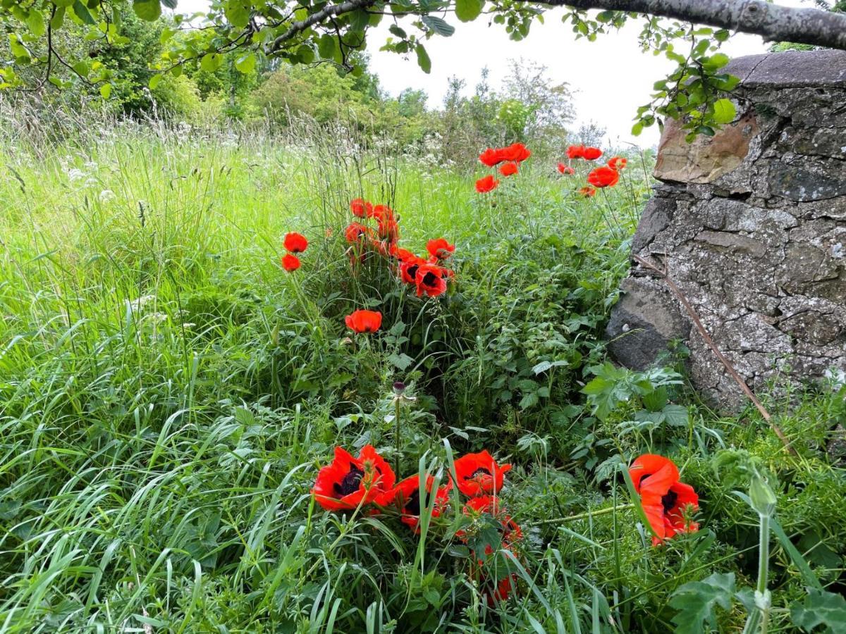 Deveron Valley Cottages Marnoch ภายนอก รูปภาพ